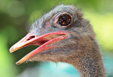 Similar image 6087141