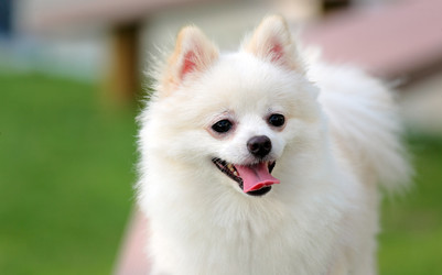 Similar image 6087189