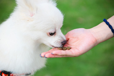 Similar image 6087203