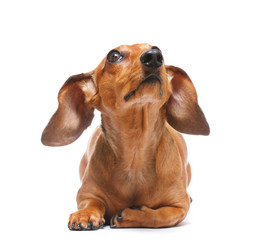 Similar image 6087235