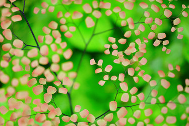 Similar image 6087246