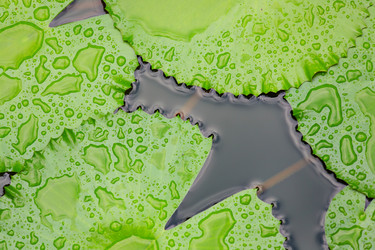 Similar image 6087266