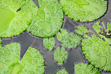 Similar image 6087269