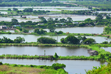 Similar image 6087356