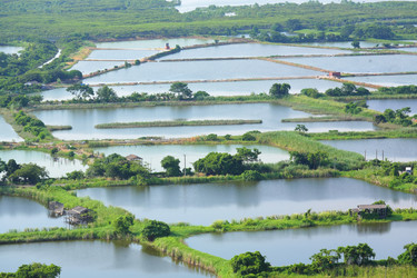 Similar image 6087361