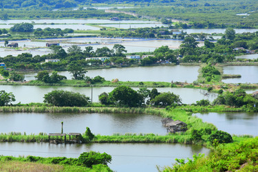 Similar image 6087367