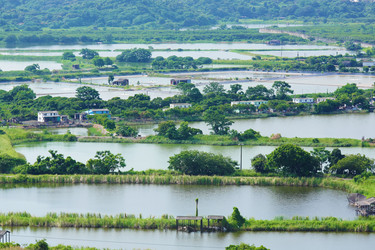 Similar image 6087371