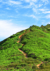 Similar image 6087373