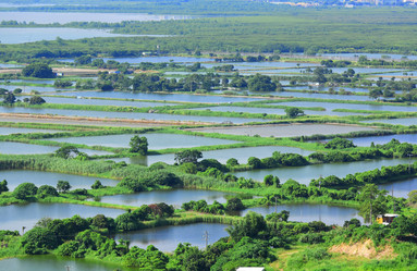 Similar image 6087387