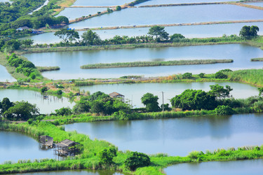 Similar image 6087388