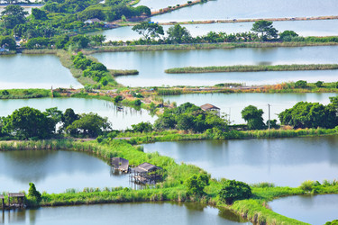 Similar image 6087391