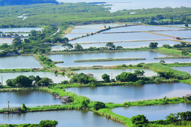 Similar image 6087393