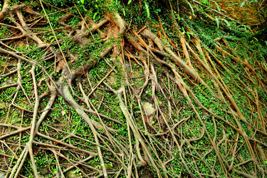 Similar image 6087582