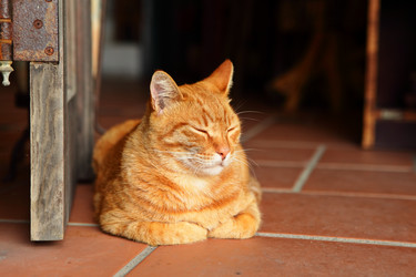 Similar image 6087653