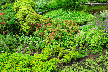 Similar image 6087702