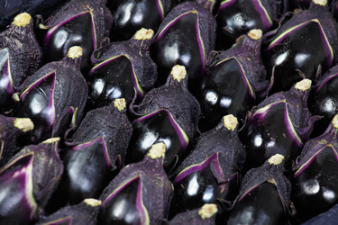 Similar image 6087822