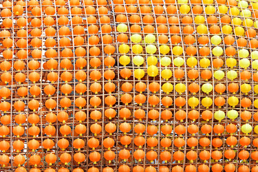 Similar image 6087827