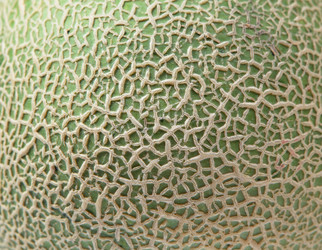 Similar image 6087830