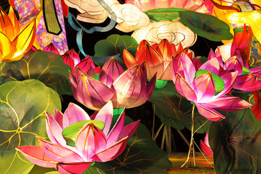 Similar image 6087835