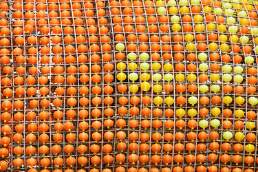 Similar image 6087836