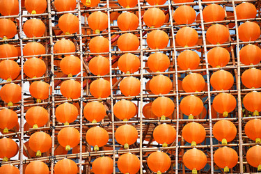 Similar image 6087838