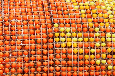 Similar image 6087842