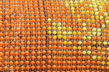 Similar image 6087843