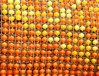 Similar image 6087845