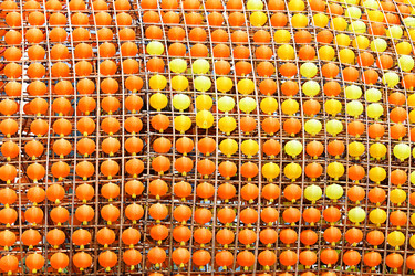 Similar image 6087849