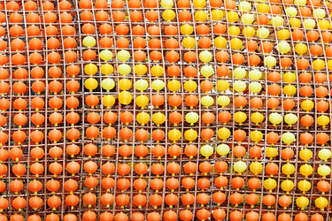 Similar image 6087858