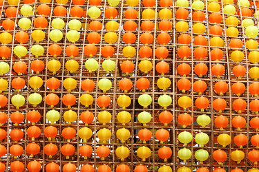 Similar image 6087868