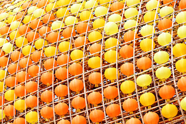 Similar image 6087872