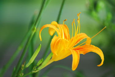 Similar image 6087899