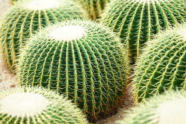 Similar image 6087930