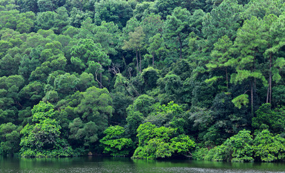 Similar image 6087939