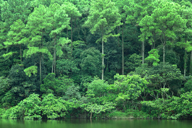 Similar image 6087955