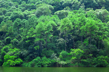 Similar image 6087959