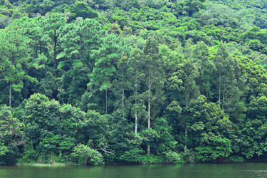 Similar image 6087960