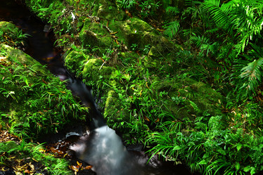 Similar image 6087975