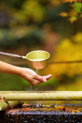 Similar image 6088046