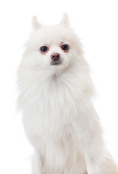 Similar image 6088113