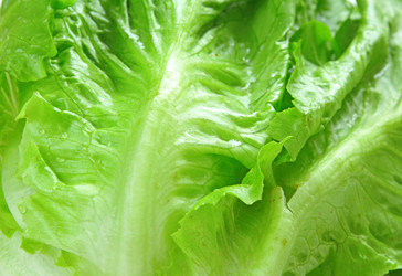 Similar image 6088122