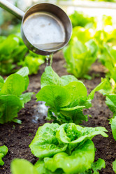 Similar image 6088137