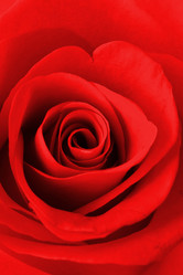 Similar image 6088172