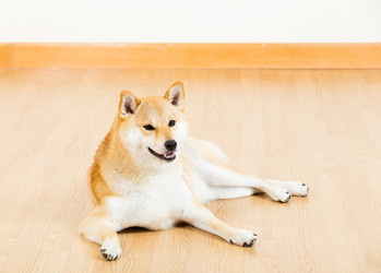 Similar image 6088216