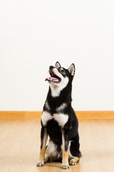 Similar image 6088229