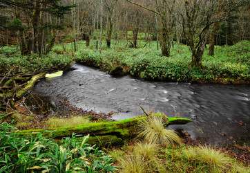 Similar image 6088263