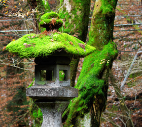 Similar image 6088313