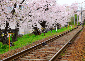 Similar image 6088419