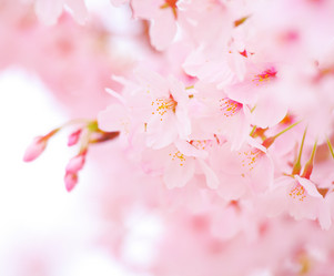 Similar image 6088434